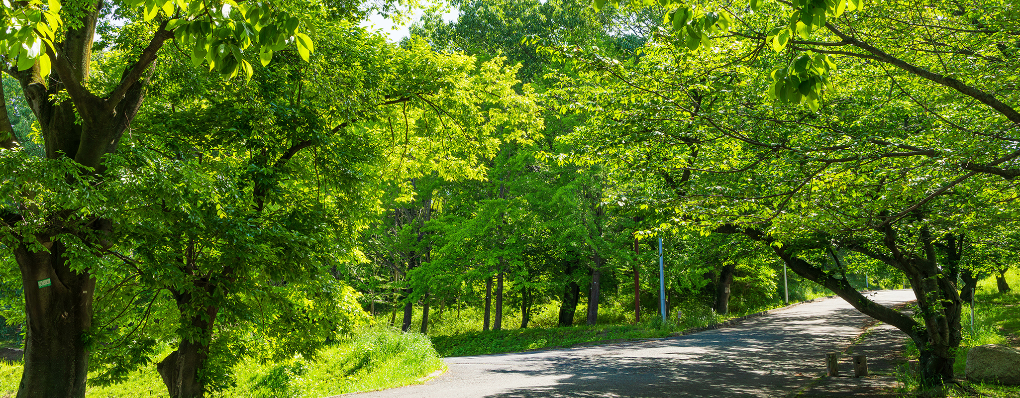 私たちの取り組み